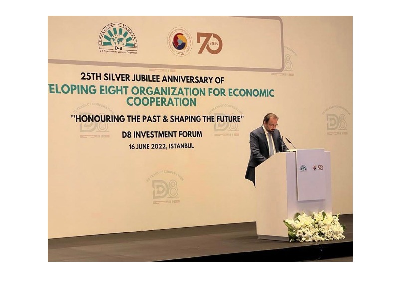 Minister BOI participates in the D-8 Investment Forum